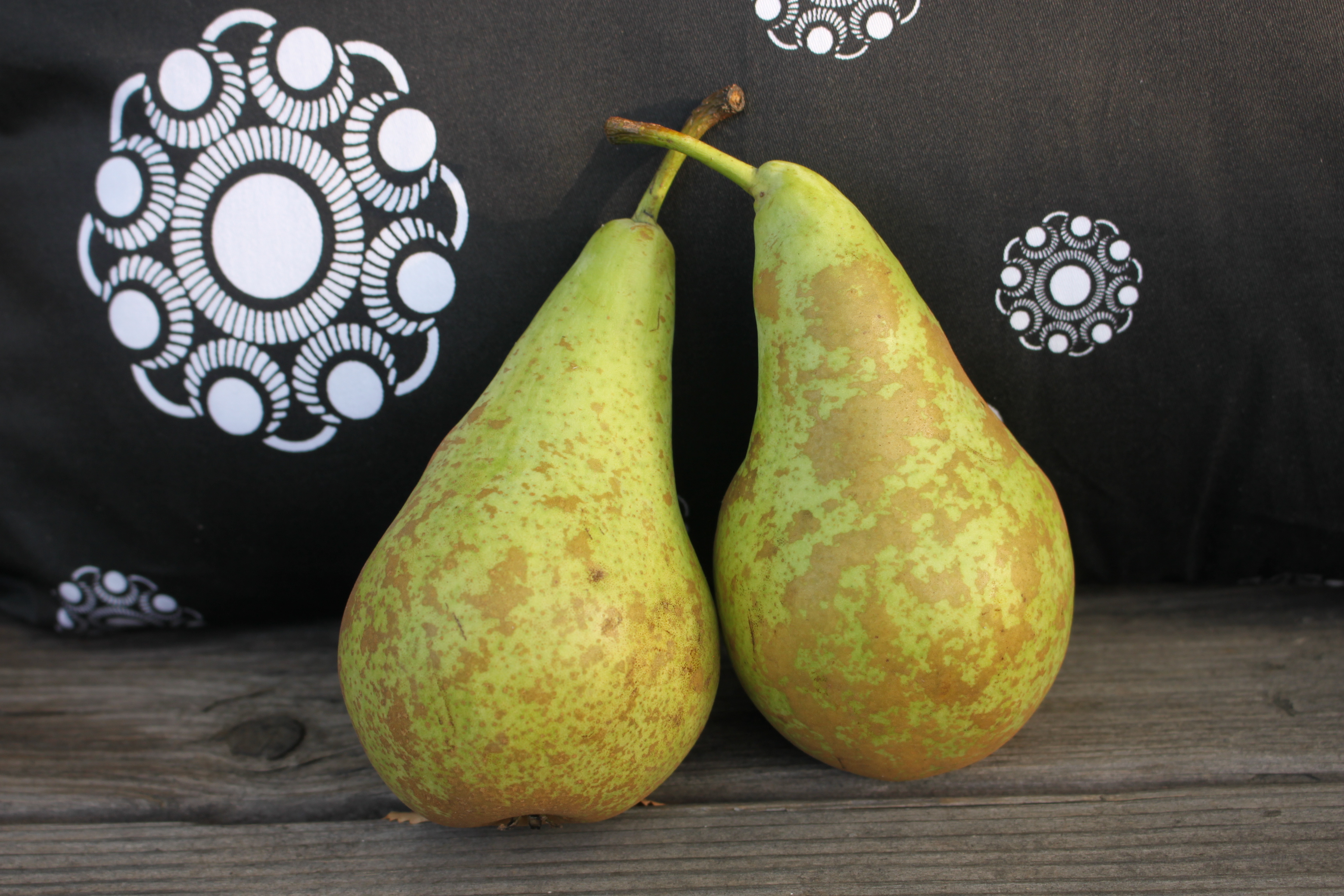 Zeeuwse Fruitteeltdag 2019