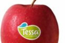 Podcast over Tessa-appel