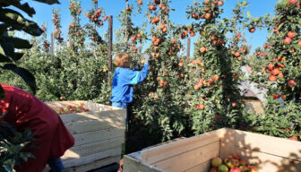 Nieuwe versies model arbeidsovereenkomsten beschikbaar