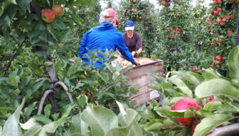 Werkgevers met arbeidsmigranten gezocht voor pilot met MYinfoNL-app