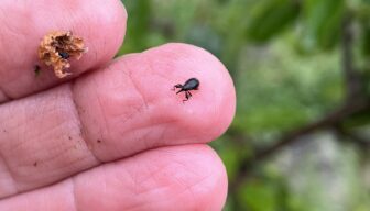 Voortgang vrijstellingen