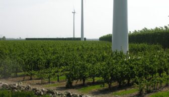 Subsidieregeling ‘Samenwerking integrale gebiedsontwikkeling Zeeland 2025’