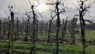 Voor het middelenpakket van morgen is naleving vandaag belangrijk