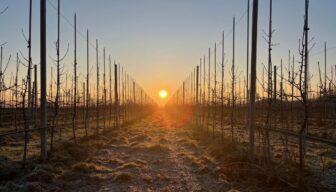 NFO: Vertrouwenscommissie start zoektocht nieuwe voorzitter