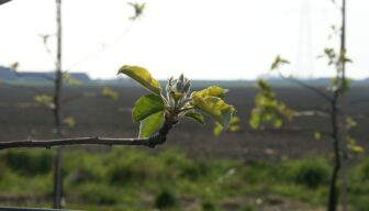 Ctgb gaat nieuw toetsingskader sneller gebruiken