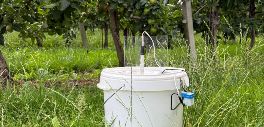 ‘Er is ’s nachts een wondere wereld actief in de boomgaard’