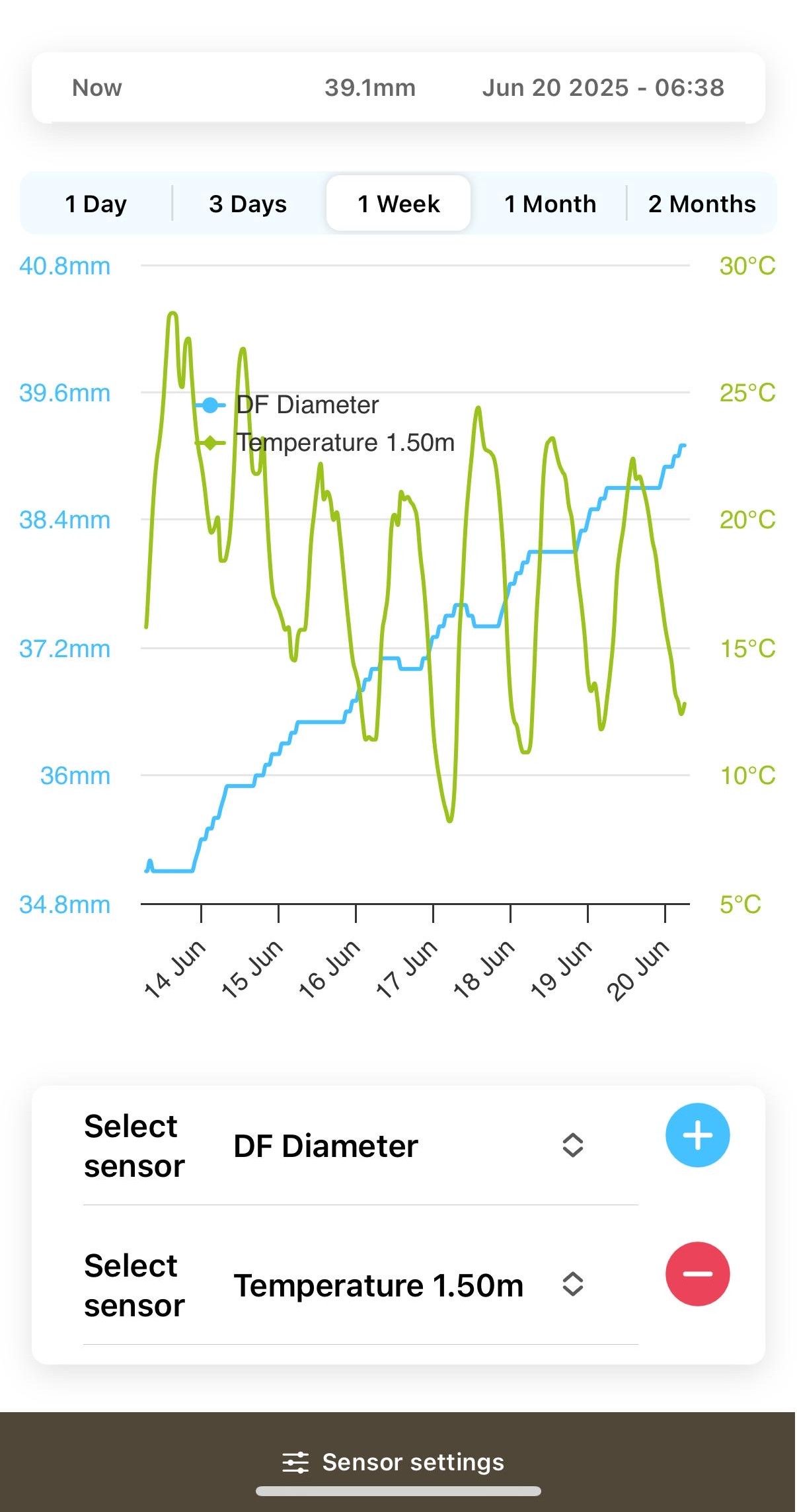 Kiedy rośnie gruszka? Holendrzy już to dokładnie zbadali