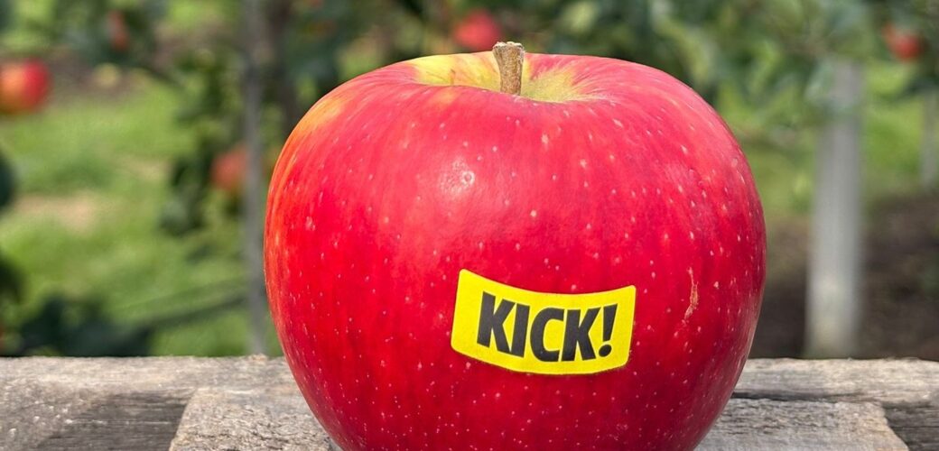 Wursixo krijgt merknaam ‘Kick!’