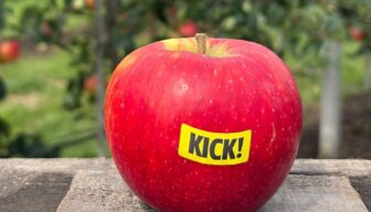 Wursixo krijgt merknaam ‘Kick!’