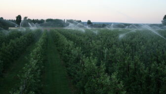 Problemen landbouwwaterleiding Zeeland opgelost