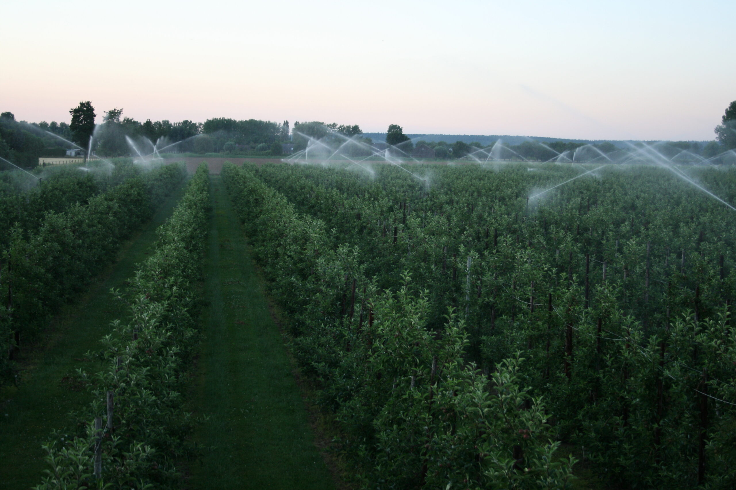 Problemen landbouwwaterleiding Zeeland opgelost