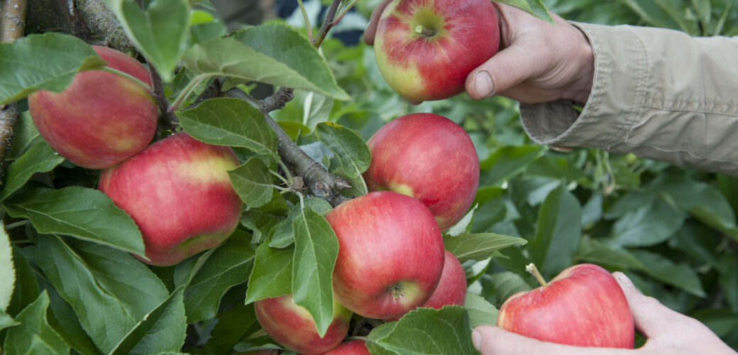 Jonge medewerkers gezond en veilig aan het werk: waar moet u op letten?