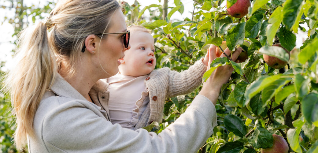 De Fruitigste Hardfruitdagen 2025 komen eraan: heeft u zich al aangemeld?