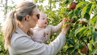 De Fruitigste Hardfruitdagen 2025 komen eraan: heeft u zich al aangemeld?