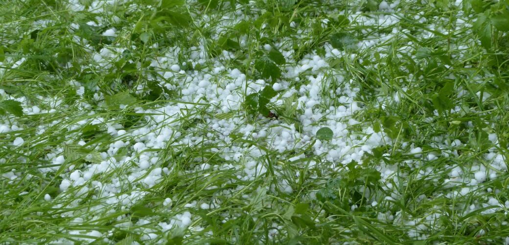 Daling subsidiepercentage brede weersverzekering verwacht