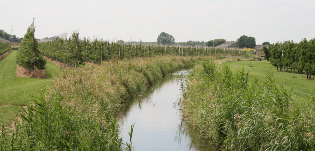 Waterschap Limburg breidt onttrekkingsverbod uit; uitzondering voor hardfruittelers