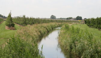 Waterschap Limburg breidt onttrekkingsverbod uit; uitzondering voor hardfruittelers