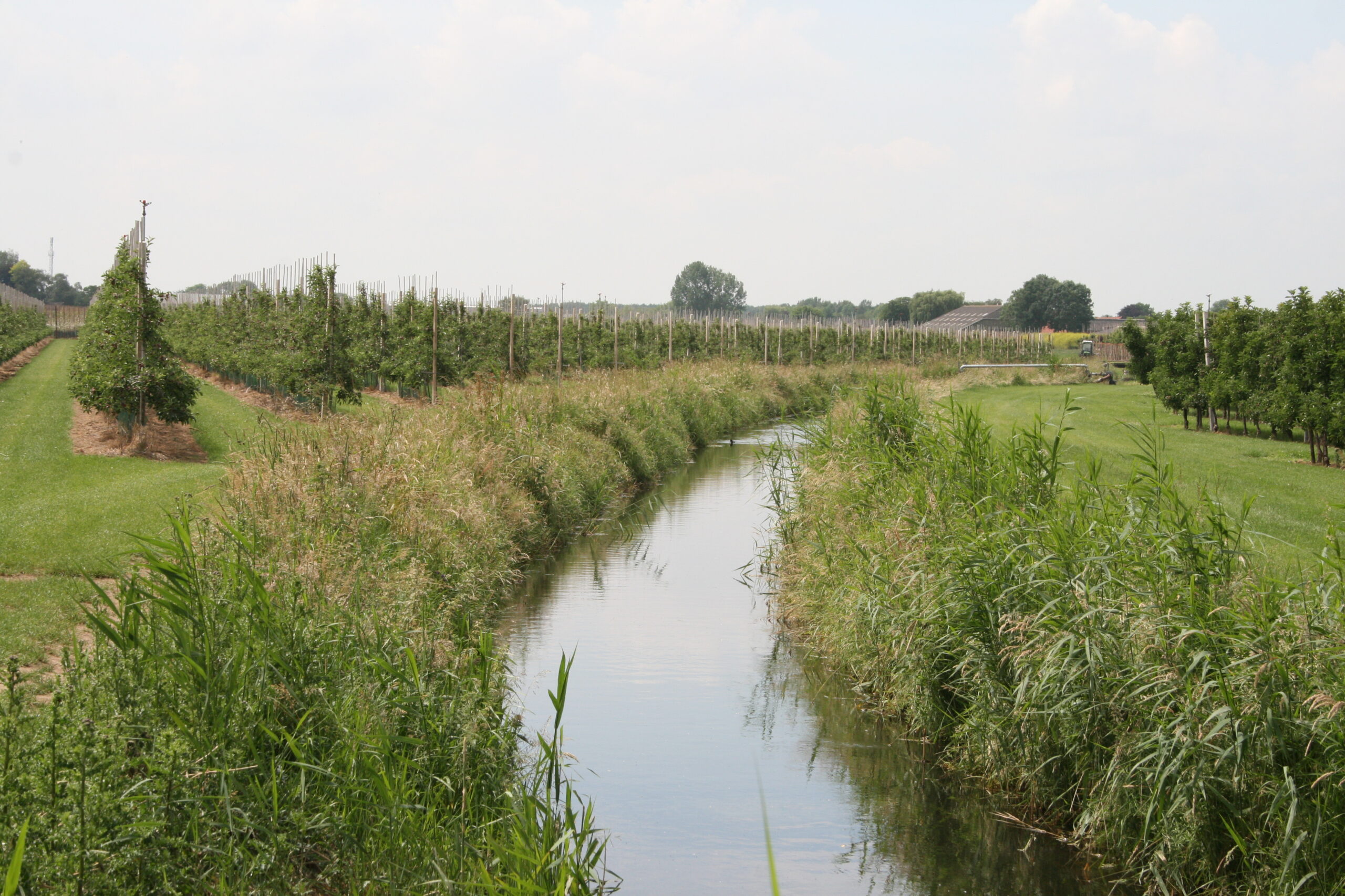Waterschap Limburg breidt onttrekkingsverbod uit; uitzondering voor hardfruittelers