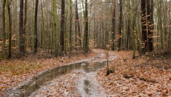 Maak jij je zorgen om een collega of heb je zelf zorgen?