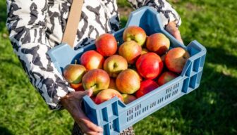 Werken met vrijwilligers