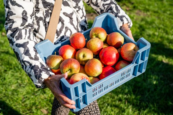 Werken met vrijwilligers