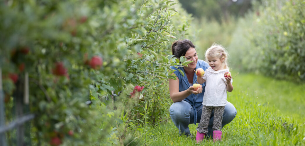 De Fruitigste Hardfruitdagen in de kijker
