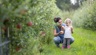 De Fruitigste Hardfruitdagen in de kijker