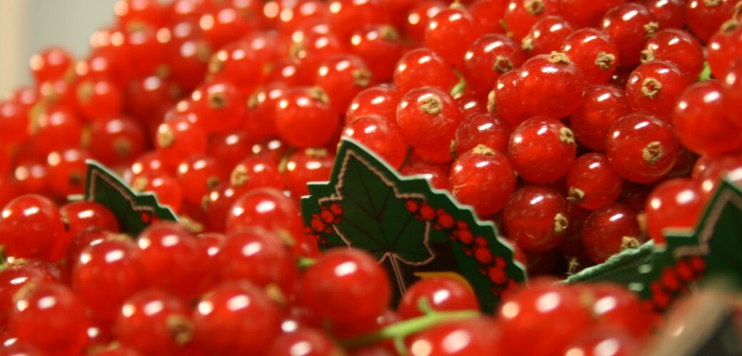 Eerste resultaten Europese zachtfruitcampagne veelbelovend