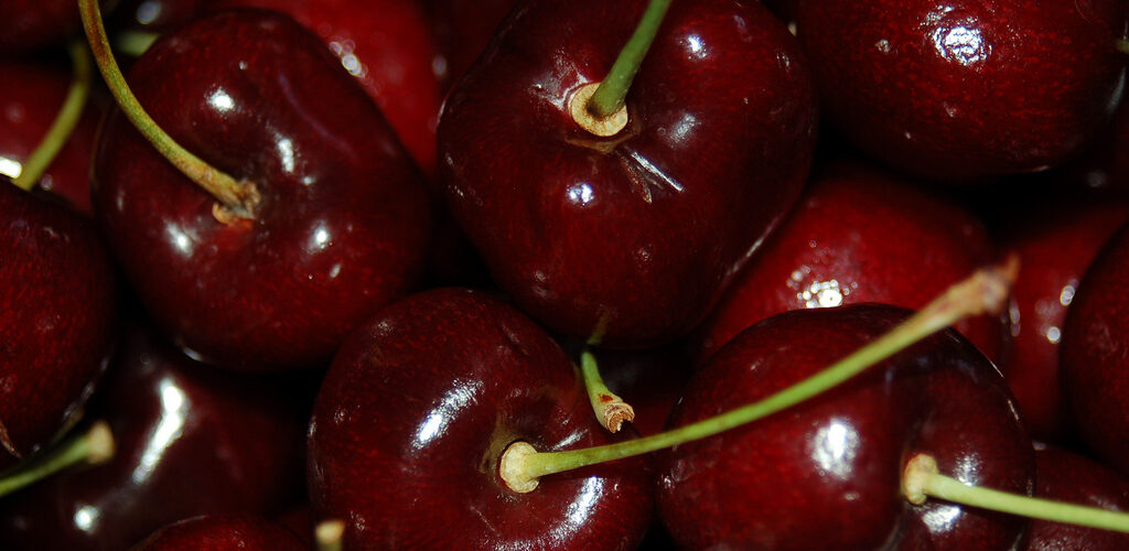 Amerikaanse bedrijven slaan handen ineen voor ontwikkeling pitloze kers