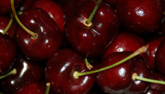 Amerikaanse bedrijven slaan handen ineen voor ontwikkeling pitloze kers