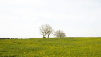 Subsidie voor aanleg van landschapselementen in Noord-Holland