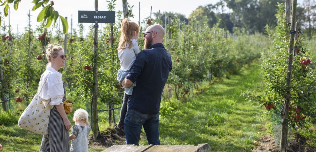 Fruitplukdagen geven positieve energie in een drukke tijd