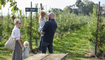 Fruitplukdagen geven positieve energie in een drukke tijd