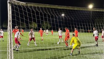 Veel belangstelling voor traditionele Fruitinterland