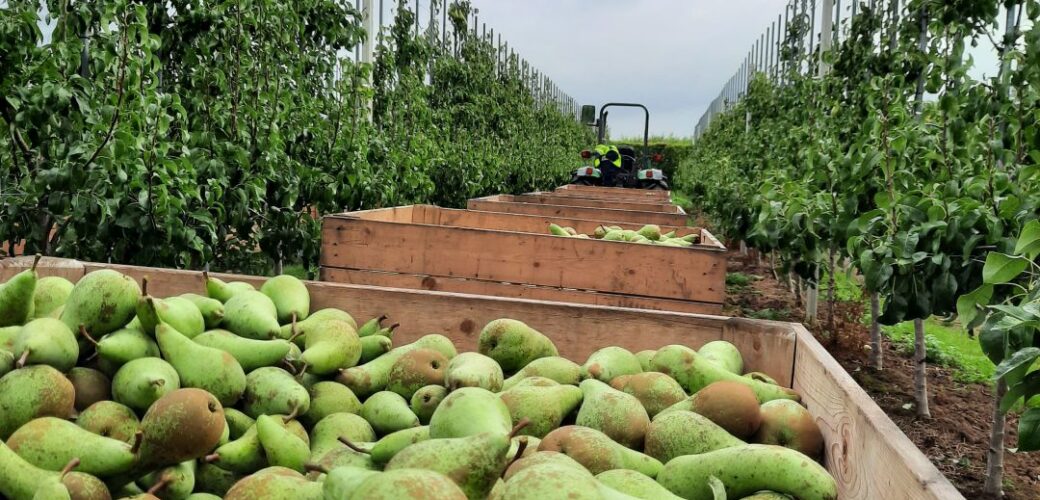 Voedselvoorziening als vitale infrastructuur