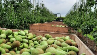 Voedselvoorziening als vitale infrastructuur