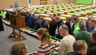 Landelijke Hardfruitafstemming: minder kwaliteitsproblemen verwacht