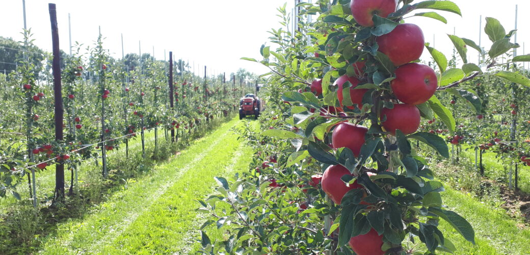 Utrechtse Monitor Duurzame Landbouw: heeft u zich al aangemeld?