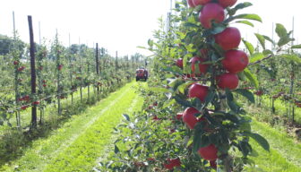 Utrechtse Monitor Duurzame Landbouw: heeft u zich al aangemeld?