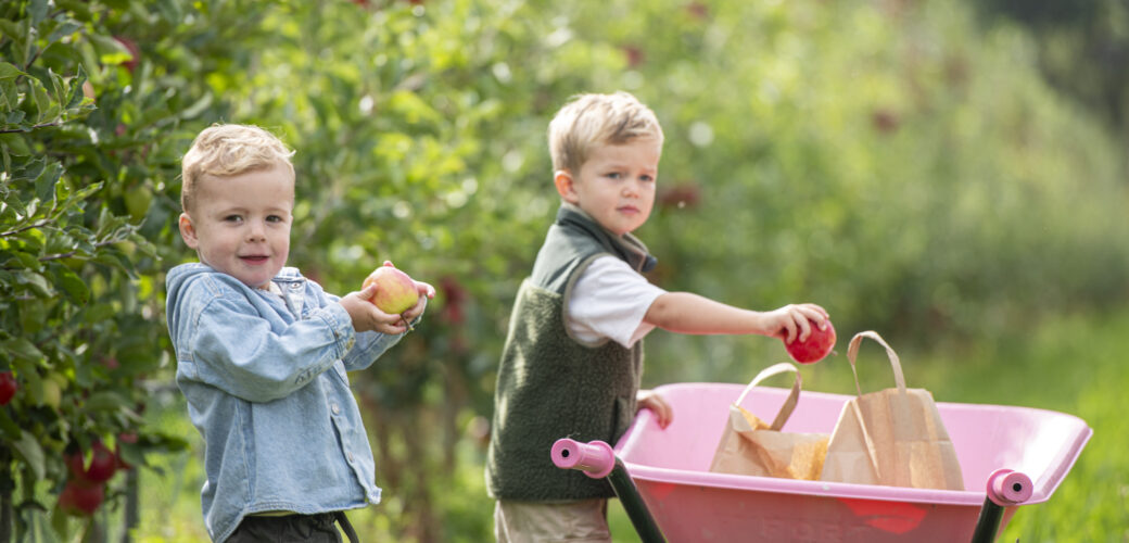 De Fruitigste Hardfruitdagen 2025 trekken ruim 100.000 bezoekers
