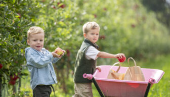 De Fruitigste Hardfruitdagen 2025 trekken ruim 100.000 bezoekers