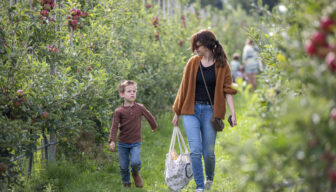 De Fruitigste Hardfruitdagen 2025 in cijfers