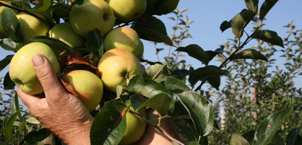 Subsidie beschikbaar voor technologie voor werknemer met arbeidsbeperking