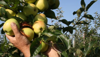 Subsidie beschikbaar voor technologie voor werknemer met arbeidsbeperking