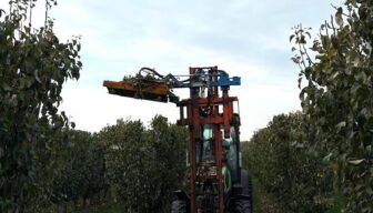 Perentelers vroeg aan de slag met mechanisch koppen snoeien