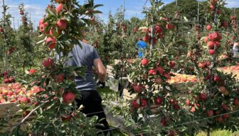 Uitrol WIN-locaties brengt steun voor internationale werknemers dichtbij
