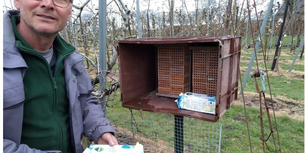 Fruitsector in beeld tijdens het verkiezingsdebat bij SBS6