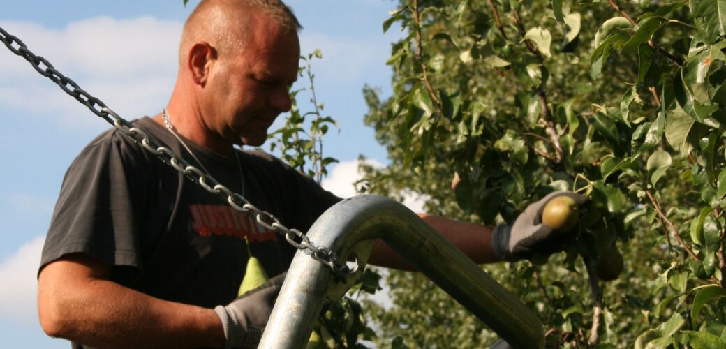 Voorlopig geen verblijfsbelasting voor arbeidsmigranten in Reimerswaal