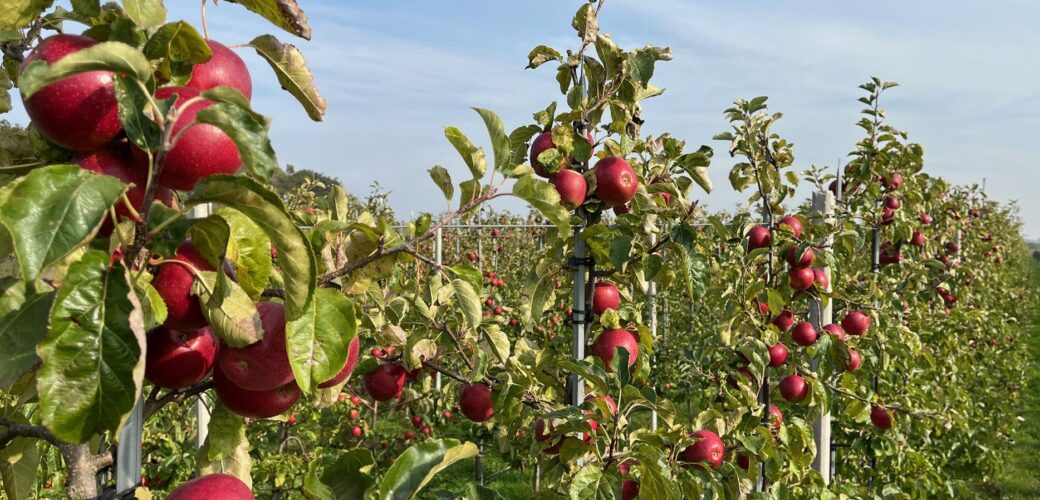 Skal monstert op residu in de biologisch teelt