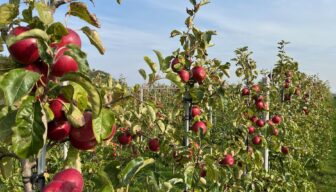 Skal monstert op residu in de biologisch teelt